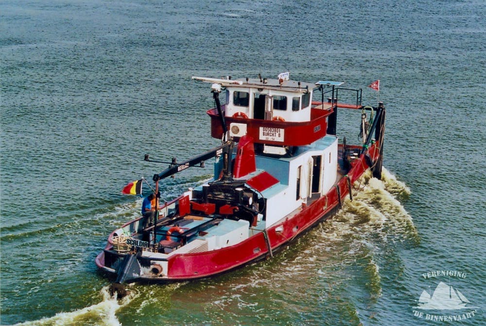 Scaldia — thumbnail 2